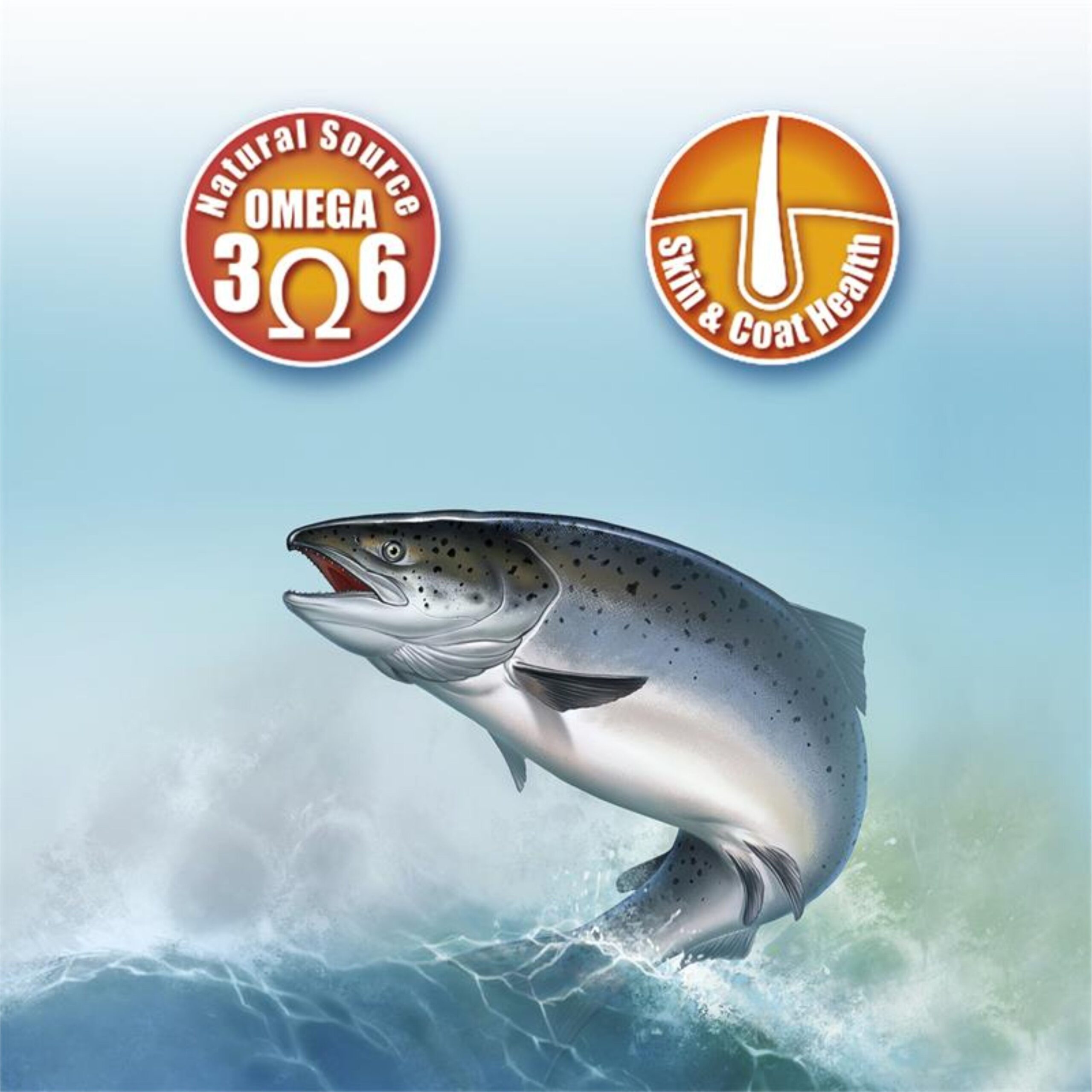 Aceite de Salmón 250ml · Suplemento Omega-3 Natural - Guaufy